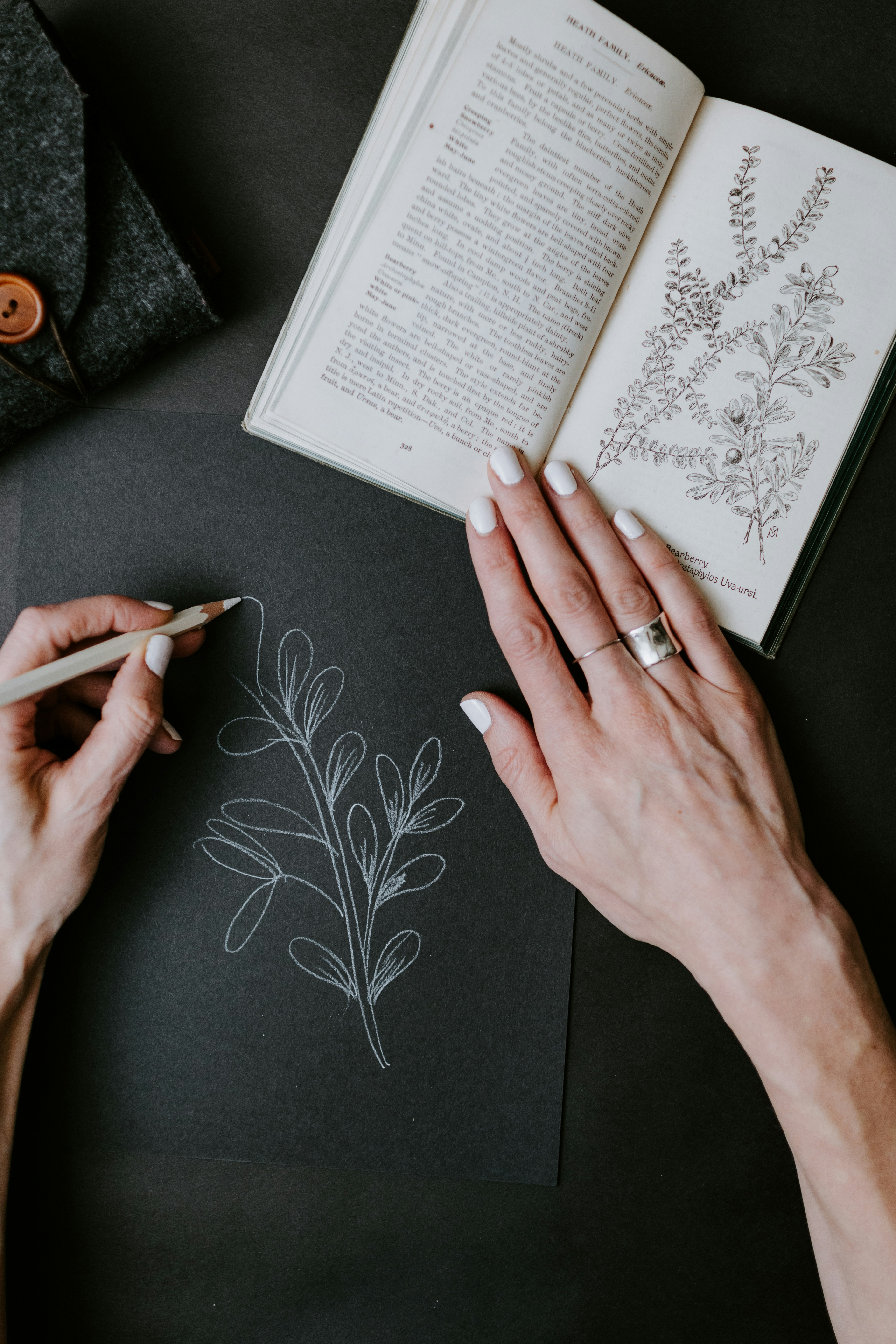 image of womans hand drawing a plant from a book