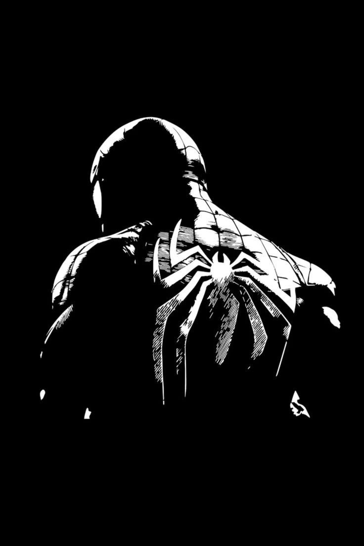 image of spiderman